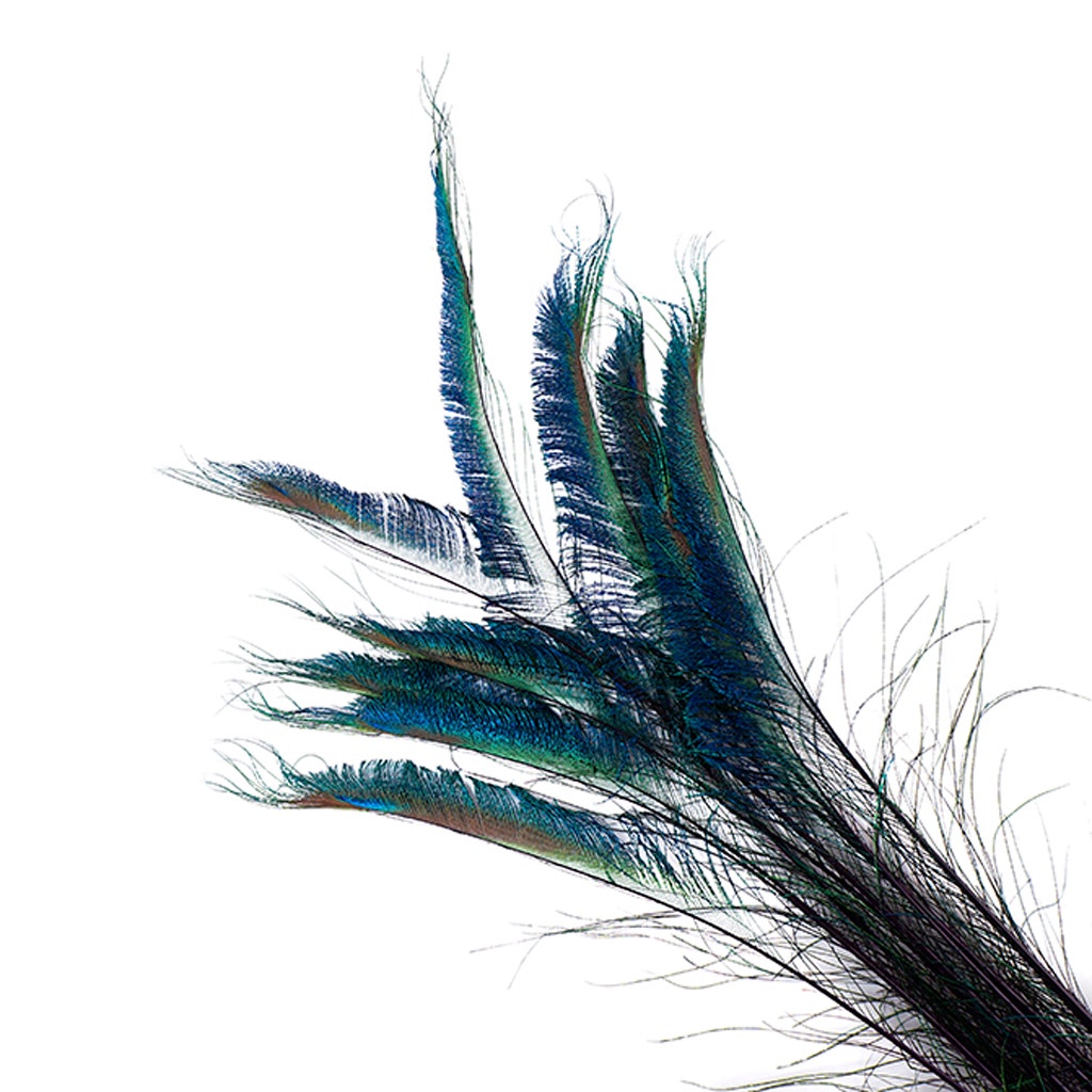 Bulk Peacock Sword Feathers Stem Dyed - 100 pc - 25-40’’ - Purple - Feathers