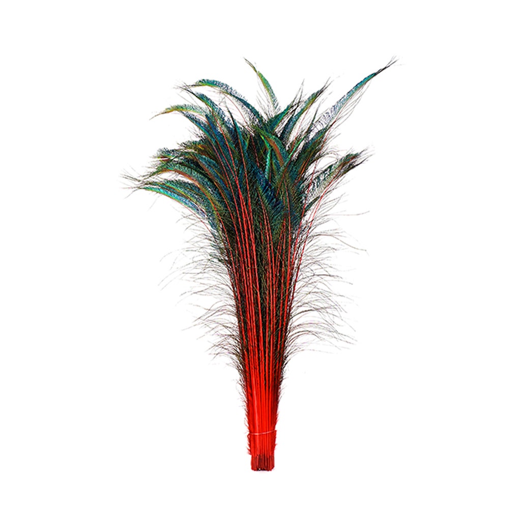 Bulk Peacock Sword Feathers Stem Dyed - 100 pc - 25-40’’ - Red - Feathers