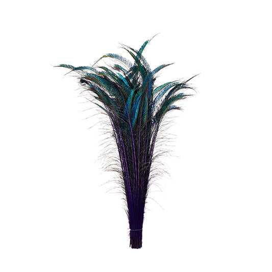 Bulk Peacock Sword Feathers Stem Dyed - 100 pc - 25-40’’ - Regal - Feathers