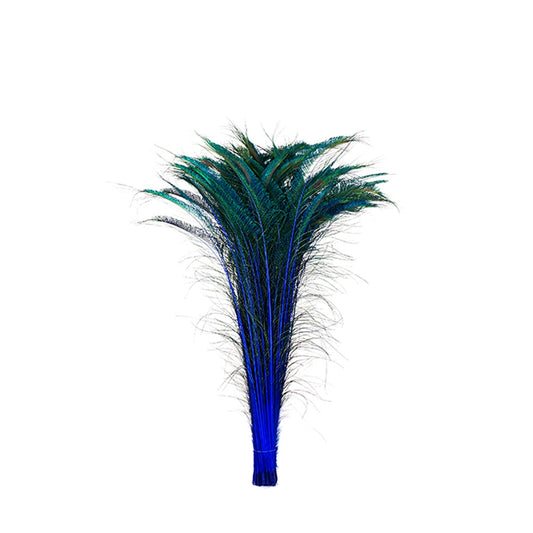 Bulk Peacock Sword Feathers Stem Dyed - 100 pc - 25-40’’ - Royal - Feathers