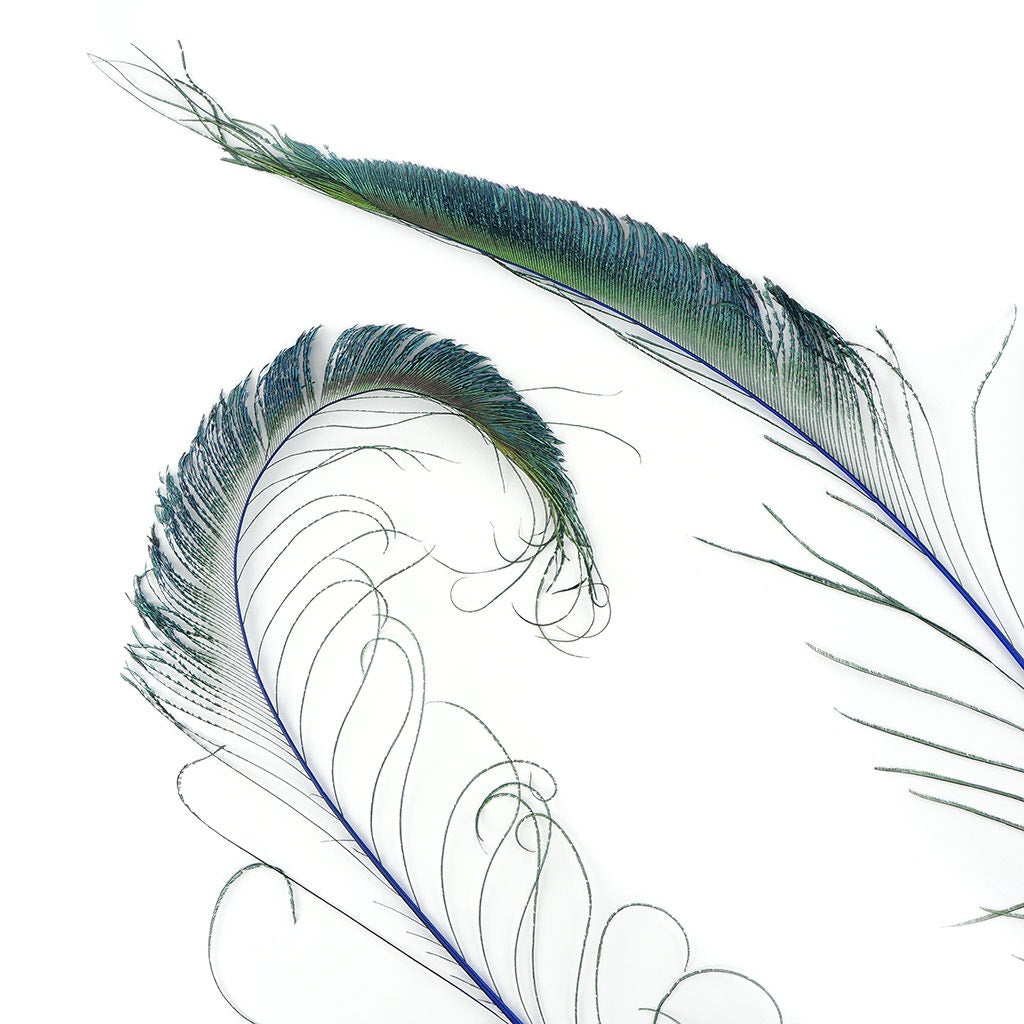 Bulk Peacock Sword Feathers Stem Dyed - 100 pc - 25-40’’ - Royal - Feathers