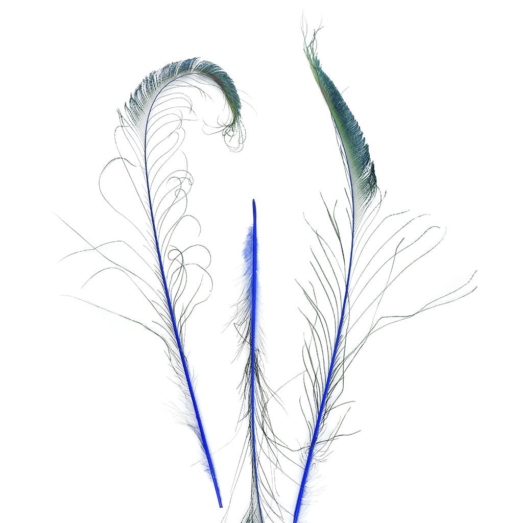 Bulk Peacock Sword Feathers Stem Dyed - 100 pc - 25-40’’ - Royal - Feathers