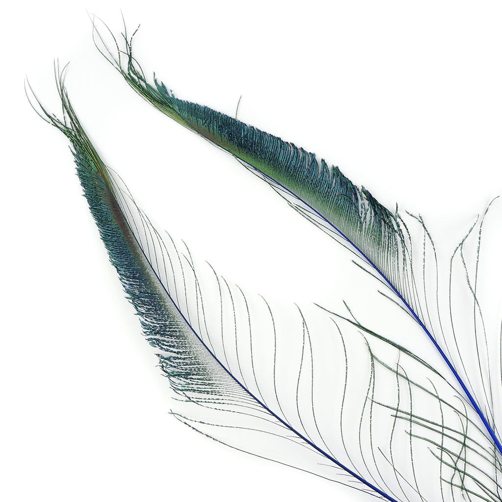 Bulk Peacock Sword Feathers Stem Dyed - 100 pc - 25-40’’ - Royal - Feathers