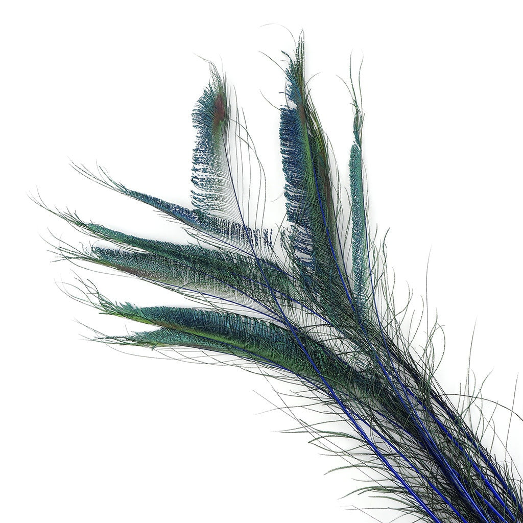 Bulk Peacock Sword Feathers Stem Dyed - 100 pc - 25-40’’ - Royal - Feathers