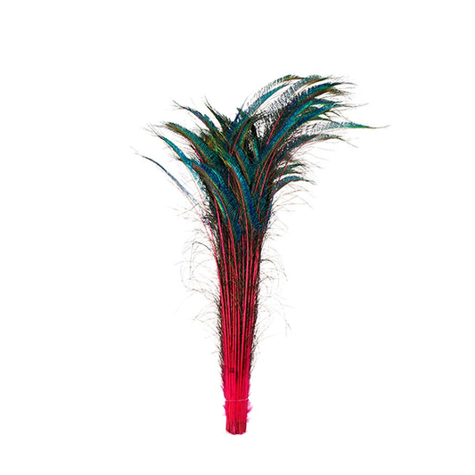 Bulk Peacock Sword Feathers Stem Dyed - 100 pc - 25-40’’ - Shocking Pink - Feathers