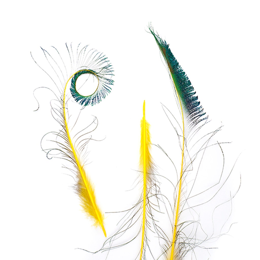 Bulk Peacock Sword Feathers Stem Dyed - 100 pc - 25-40’’ - Yellow - Feathers