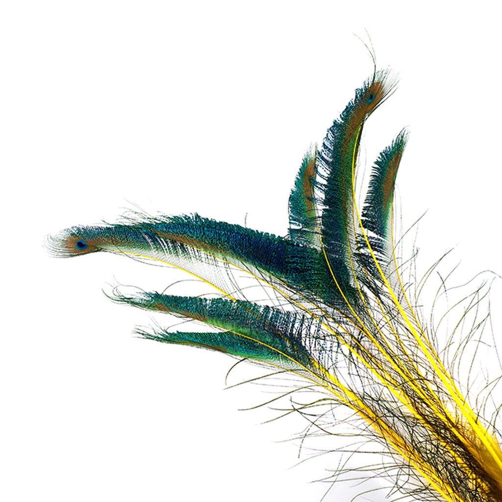 Bulk Peacock Sword Feathers Stem Dyed - 100 pc - 25-40’’ - Yellow - Feathers