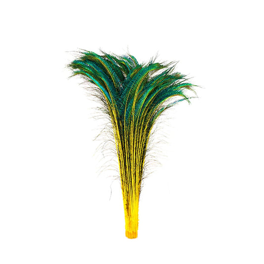 Bulk Peacock Sword Feathers Stem Dyed - 100 pc - 25-40’’ - Yellow - Feathers