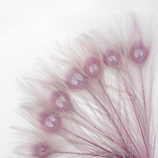 Bulk Peacock Tail Eyes Bleached and Dyed - 8-15” - 100 pc - Orchid - Feathers