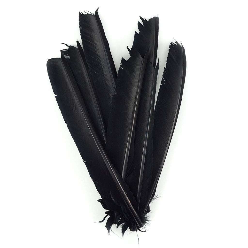 Bulk Turkey Pointers Left Wing 1/4 LB - Black - Feathers