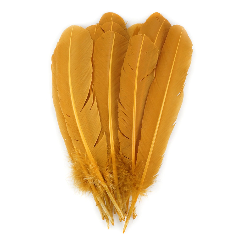 Bulk Turkey Quills by Pound - Right Wing - Antique Gold - Feathers