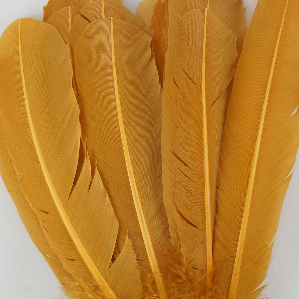 Bulk Turkey Quills by Pound - Right Wing - Antique Gold - Feathers