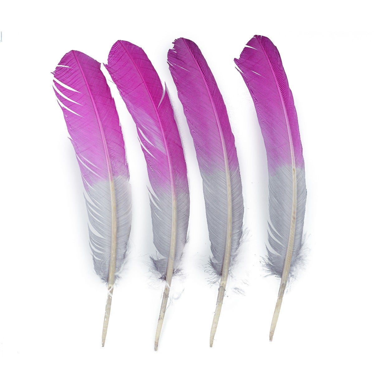 Bulk Two Tone Ombre Tipped Turkey Round Feathers - 10-12” - 1/4 lb - Very Berry/Silver - Feathers