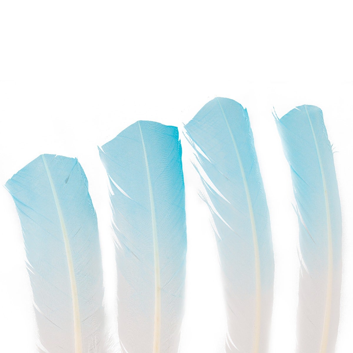 Bulk Two Tone Ombre Tipped Turkey Round Feathers - 10-12” - 1/4 lb - Light Turquoise/White - Feathers