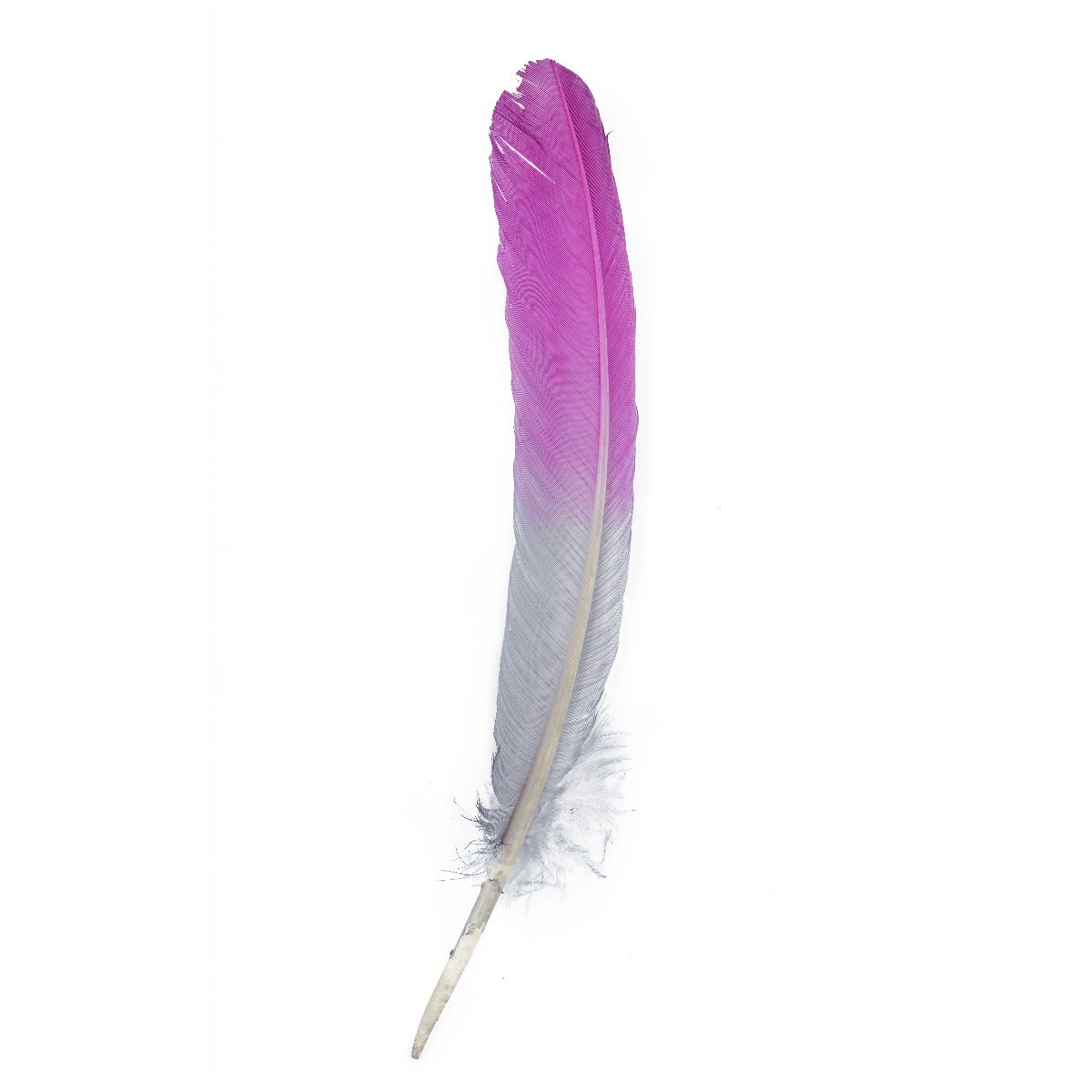 Bulk Two Tone Ombre Tipped Turkey Round Feathers - 10-12” - 1/4 lb - Very Berry/Silver - Feathers