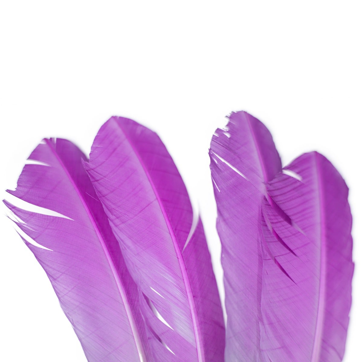 Bulk Two Tone Ombre Tipped Turkey Round Feathers - 10-12” - 1/4 lb - Very Berry/Silver - Feathers