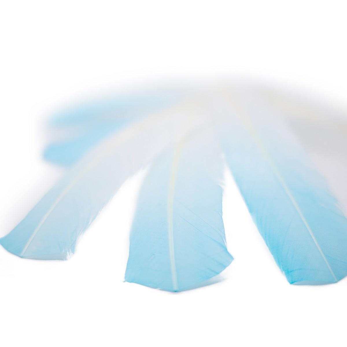 Bulk Two Tone Ombre Tipped Turkey Round Feathers - 10-12” - 1/4 lb - Light Turquoise/White - Feathers