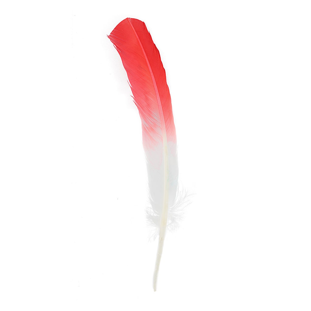 Bulk Two Tone Ombre Tipped Turkey Round Feathers Left Wing - 10-12” - 1/4 lb - Coral/White - Feathers