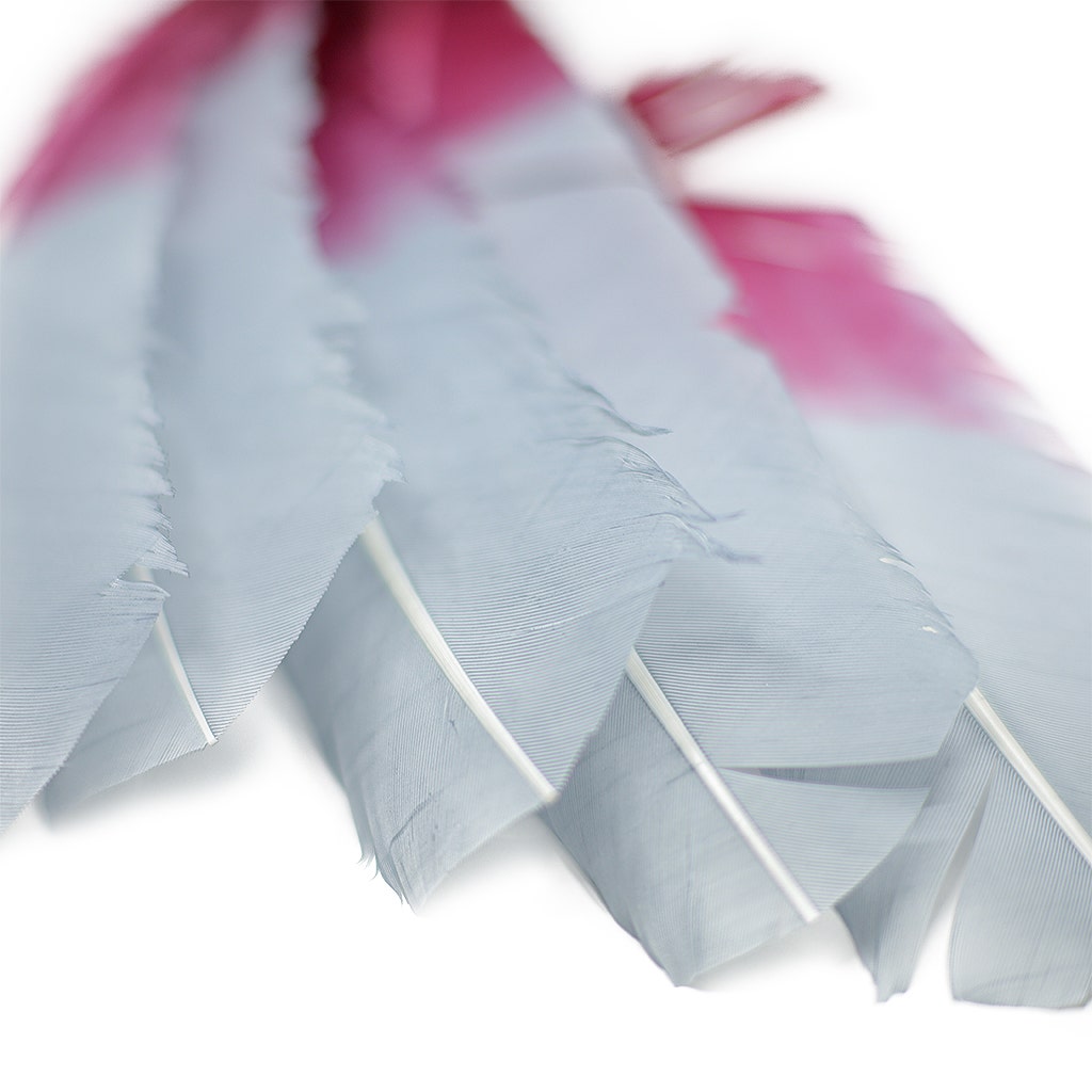 Bulk Two Tone Ombre Tipped Turkey Round Feathers Left Wing - 10-12” - 1/4 lb - Burgundy - Feathers