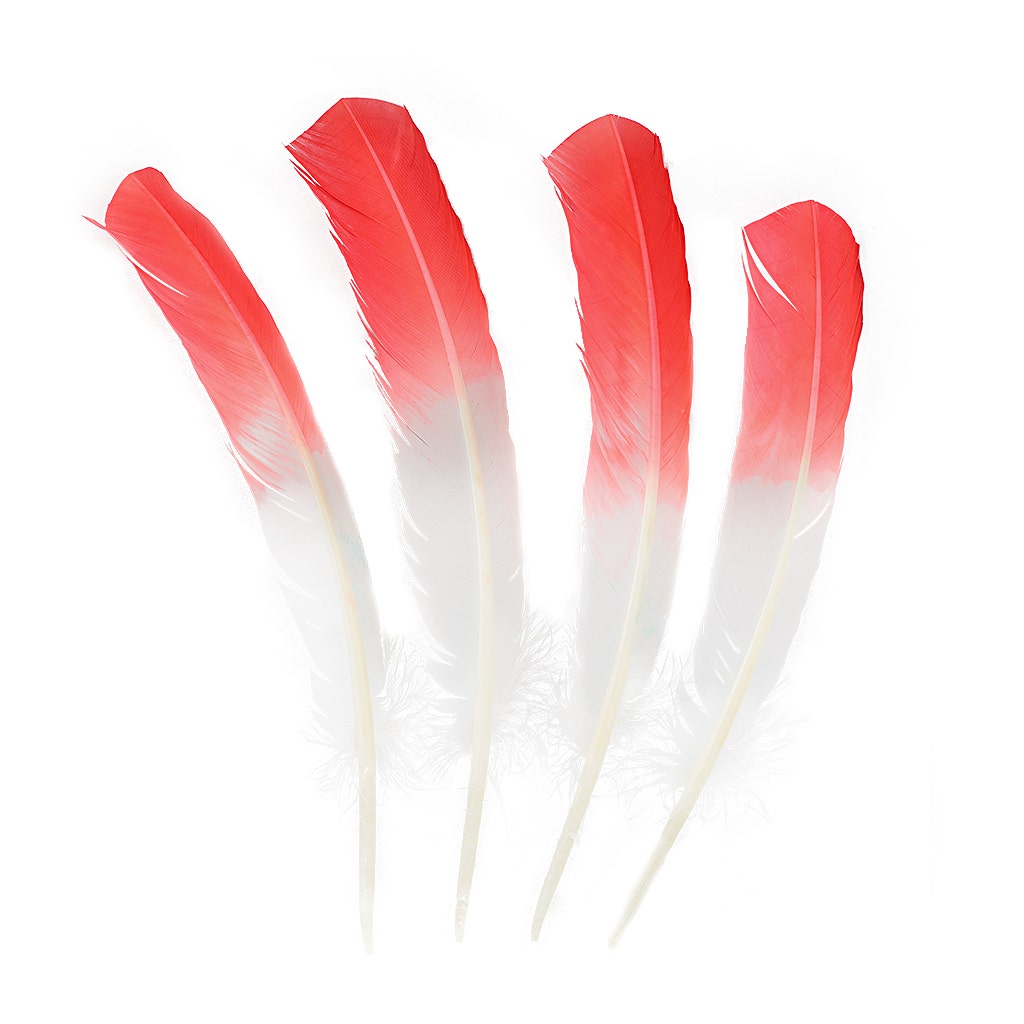 Bulk Two Tone Ombre Tipped Turkey Round Feathers Left Wing - 10-12” - 1/4 lb - Coral/White - Feathers