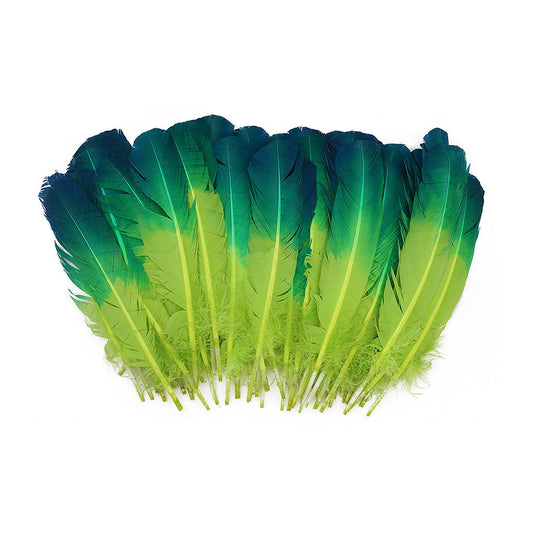 Bulk Two Tone Ombre Tipped Turkey Round Feathers Left Wing - 10-12” - 1/4 lb - Dark Turquoise - Lime - Feathers