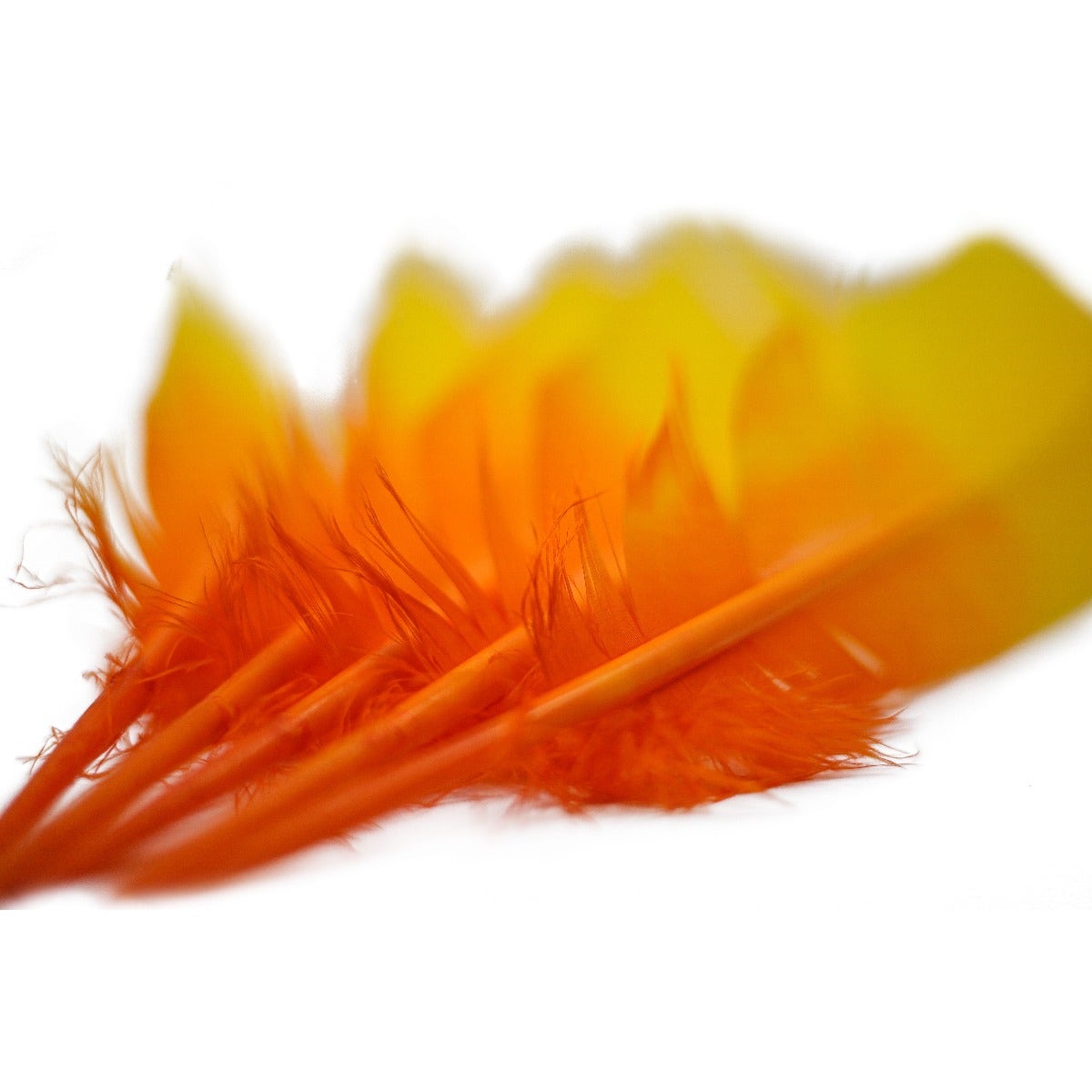 Bulk Two Tone Ombre Tipped Turkey Round Feathers Left Wing - 10-12” - 1/4 lb - Gold Orange - Feathers