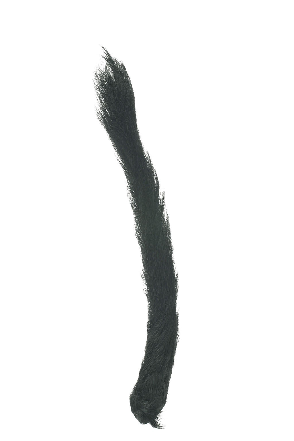 Calf Tails-Assorted Tails 8-10 Inches - Black - Feathers