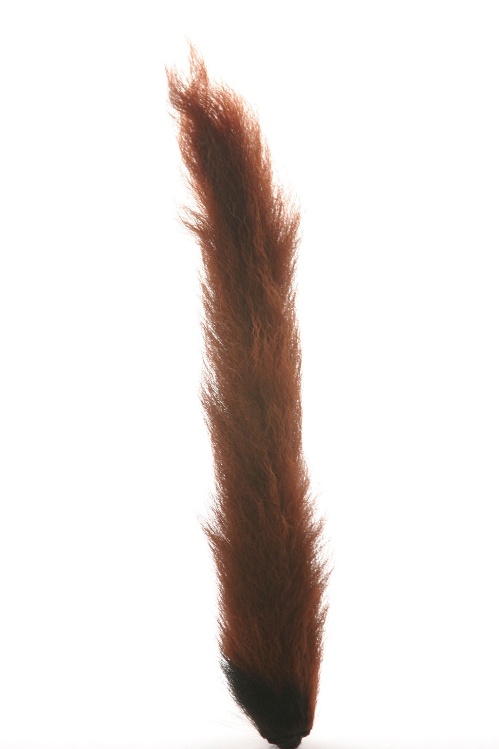 Calf Tails-Assorted Tails 8-10 Inches - Burnt Orange Bright - Feathers