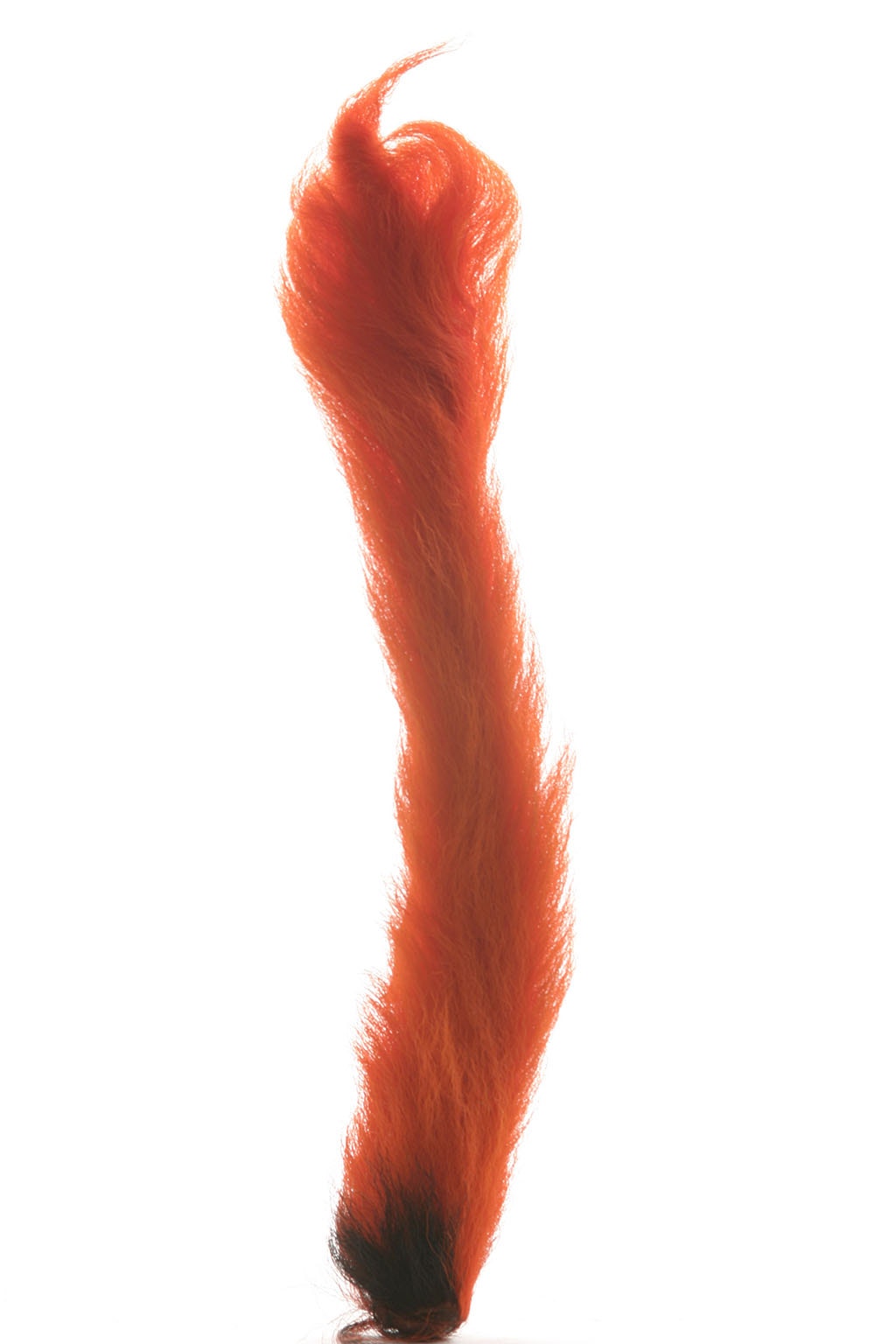 Calf Tails-Assorted Tails 8-10 Inches - Hot Orange - Feathers