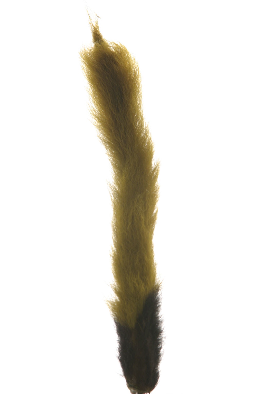 Calf Tails-Assorted Tails 8-10 Inches- Olive - Feathers