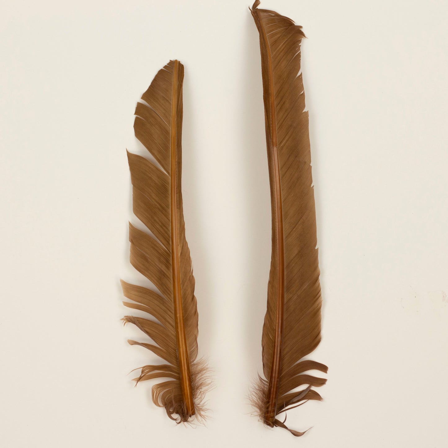 Camel Cut Turkey Pointer Feathers 8-12"
