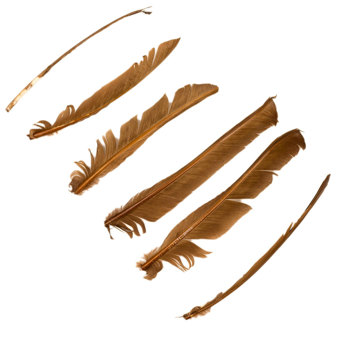 Camel Cut Turkey Pointer Feathers 8-12"