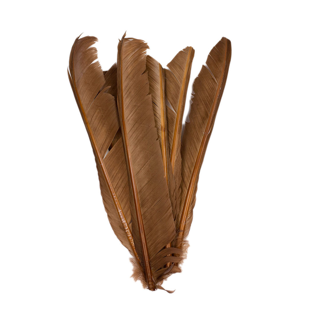 Camel Cut Turkey Pointer Feathers 8-12"