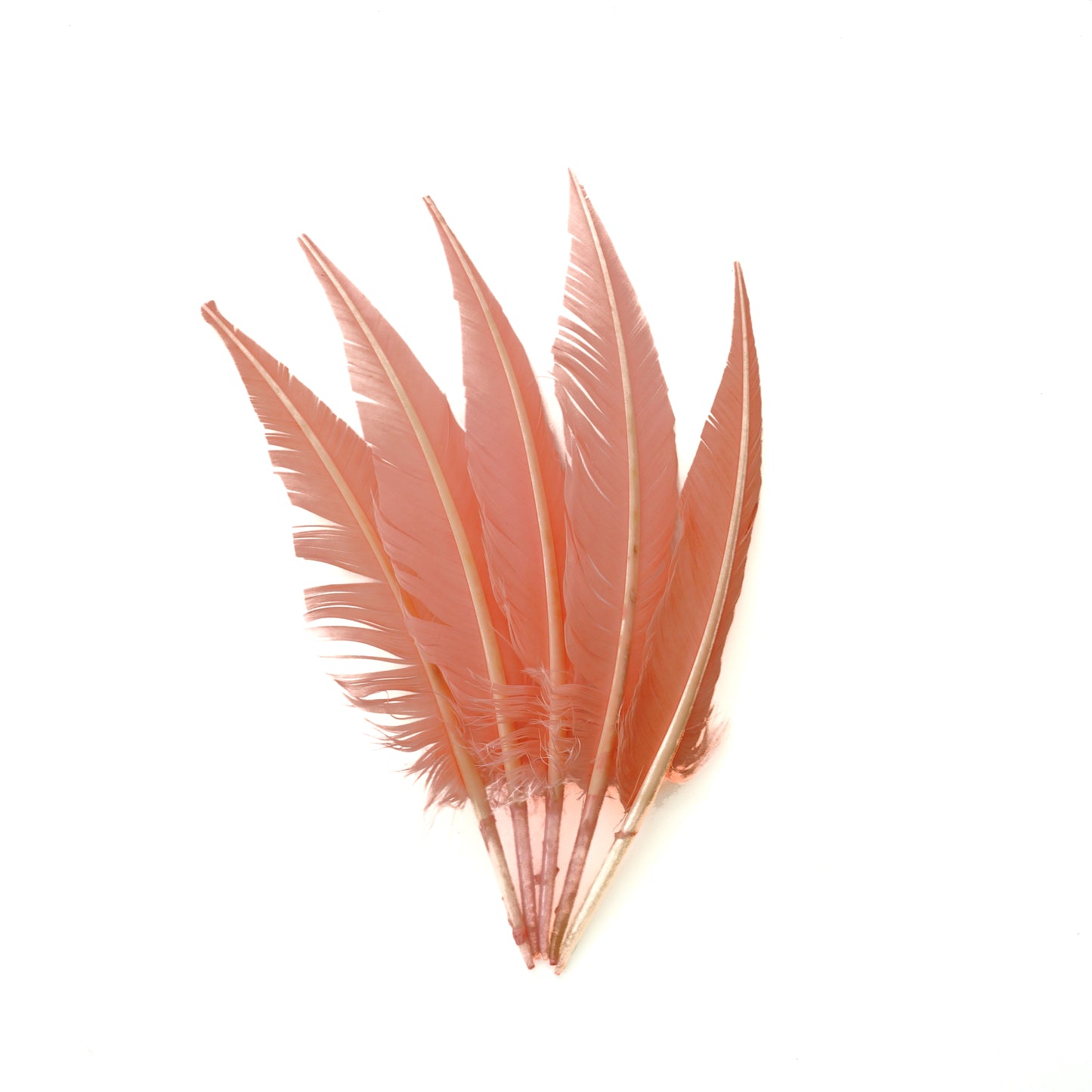 Candy Pink Dagger Turkey Quill Feathers 9-12"