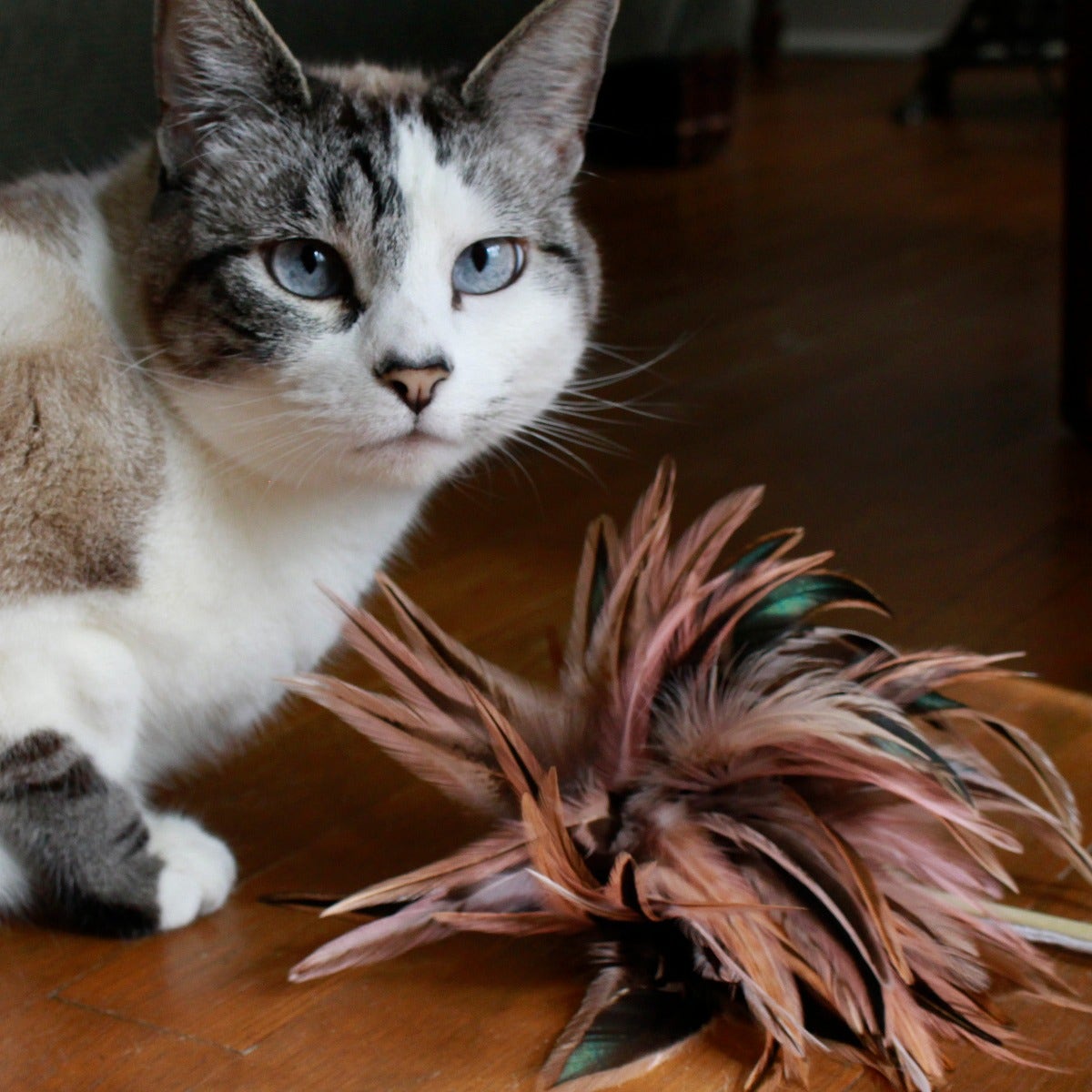 Cat Toy Kit - Candy Pink - Dark Turquoise - Feathers