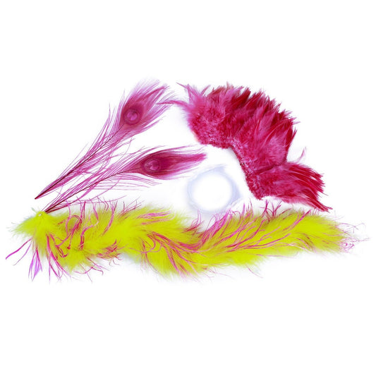 Cat Toy Kit - Fluorescent Yellow - Shocking Pink - Feathers