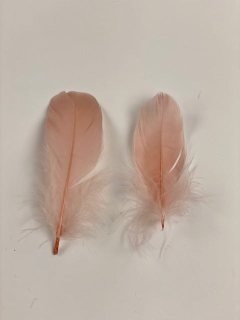 Goose Nagoire Loose 4-6 inch   1/4LB --Champagne
