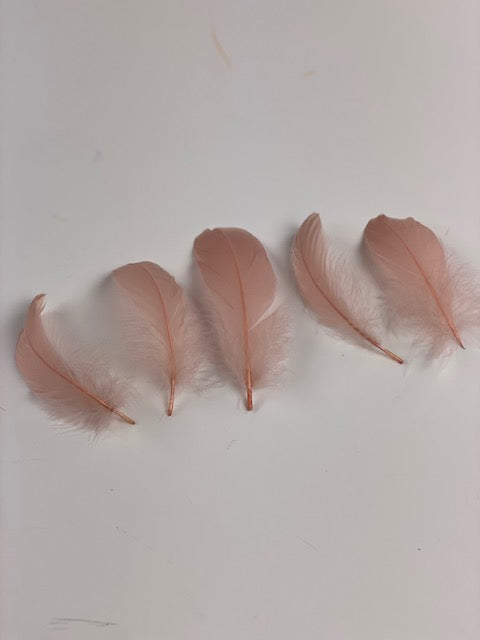 Goose Nagoire Loose 4-6 inch   1/4LB --Champagne