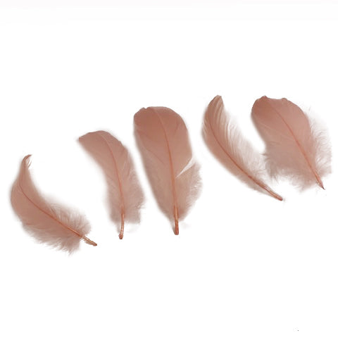 Goose Nagoire Loose 4-6 inch   1/4LB --Champagne