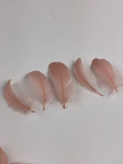 Goose Nagoire Loose 4-6 inch   1/4LB --Champagne