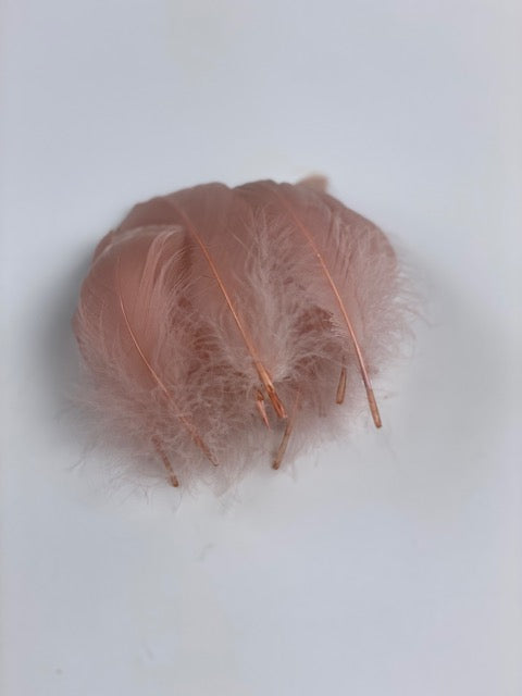 Goose Nagoire Loose 4-6 inch   1/4LB --Champagne
