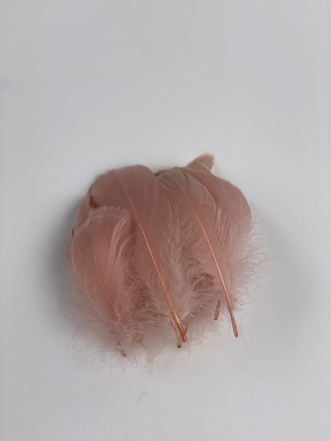 Goose Nagoire Loose 4-6 inch   1/4LB --Champagne