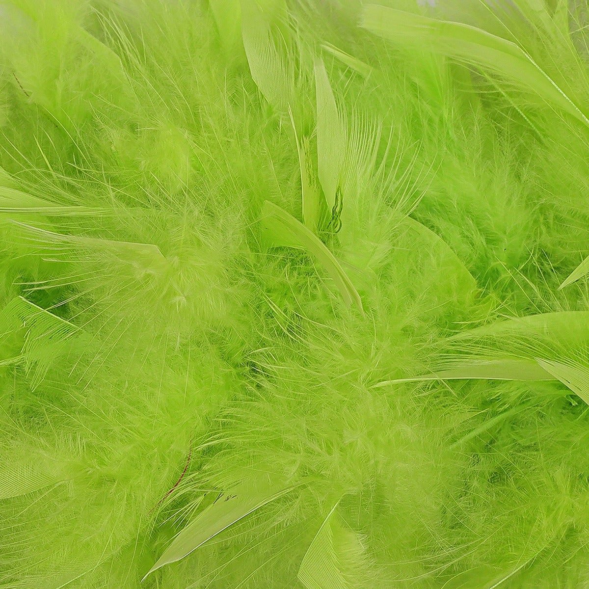 Chandelle Feather Boa - Heavyweight - Lime - Chandelle Boa