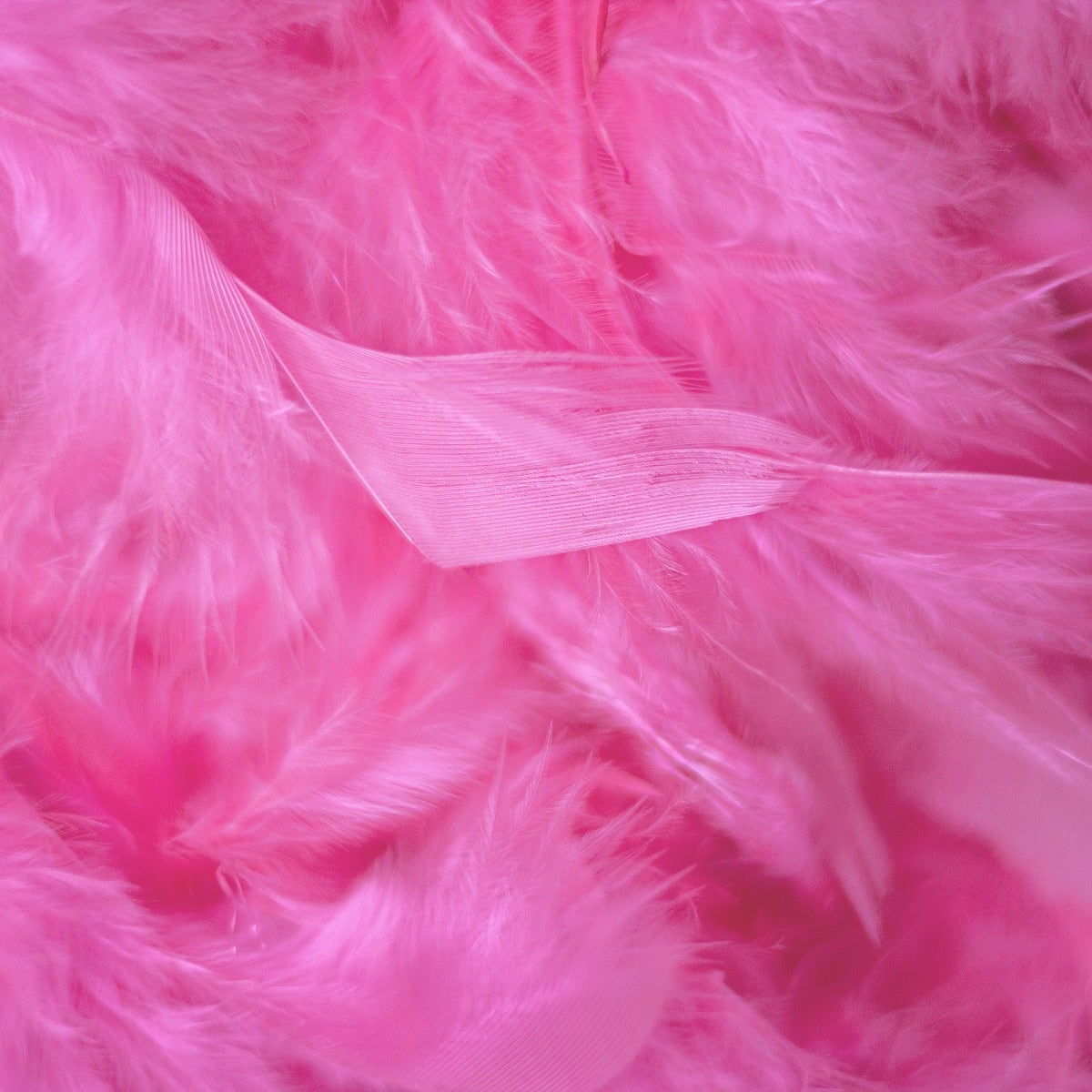 Chandelle Feather Boa - Medium Weight - Pink Orient - Chandelle Boa