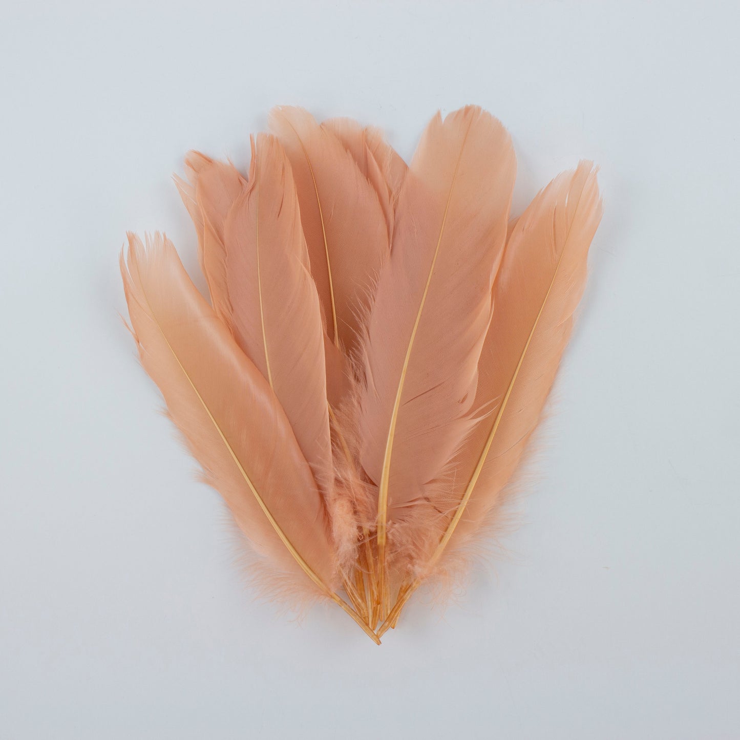 Goose Satinettes Loose 4.5-6 inch   1/4LB --Cinnamon