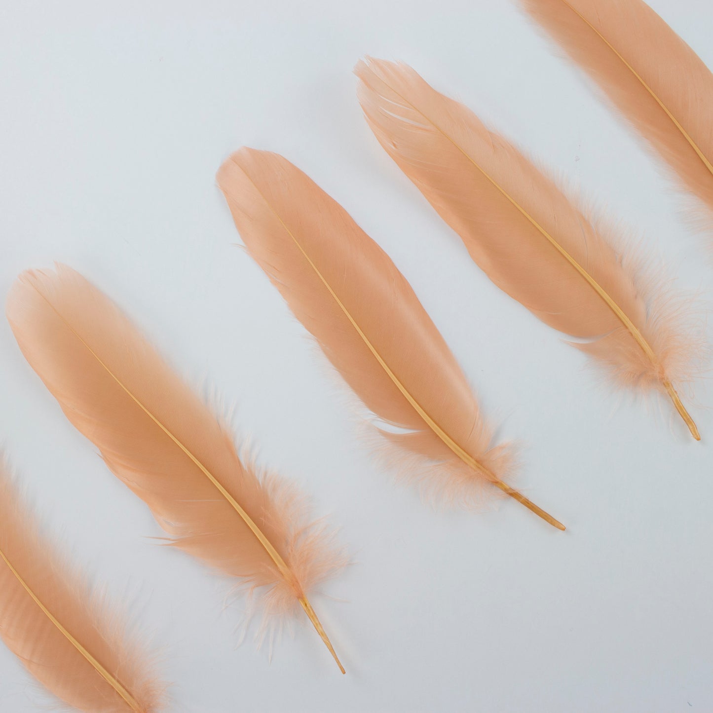 Goose Satinettes Loose 4.5-6 inch   1/4LB --Cinnamon