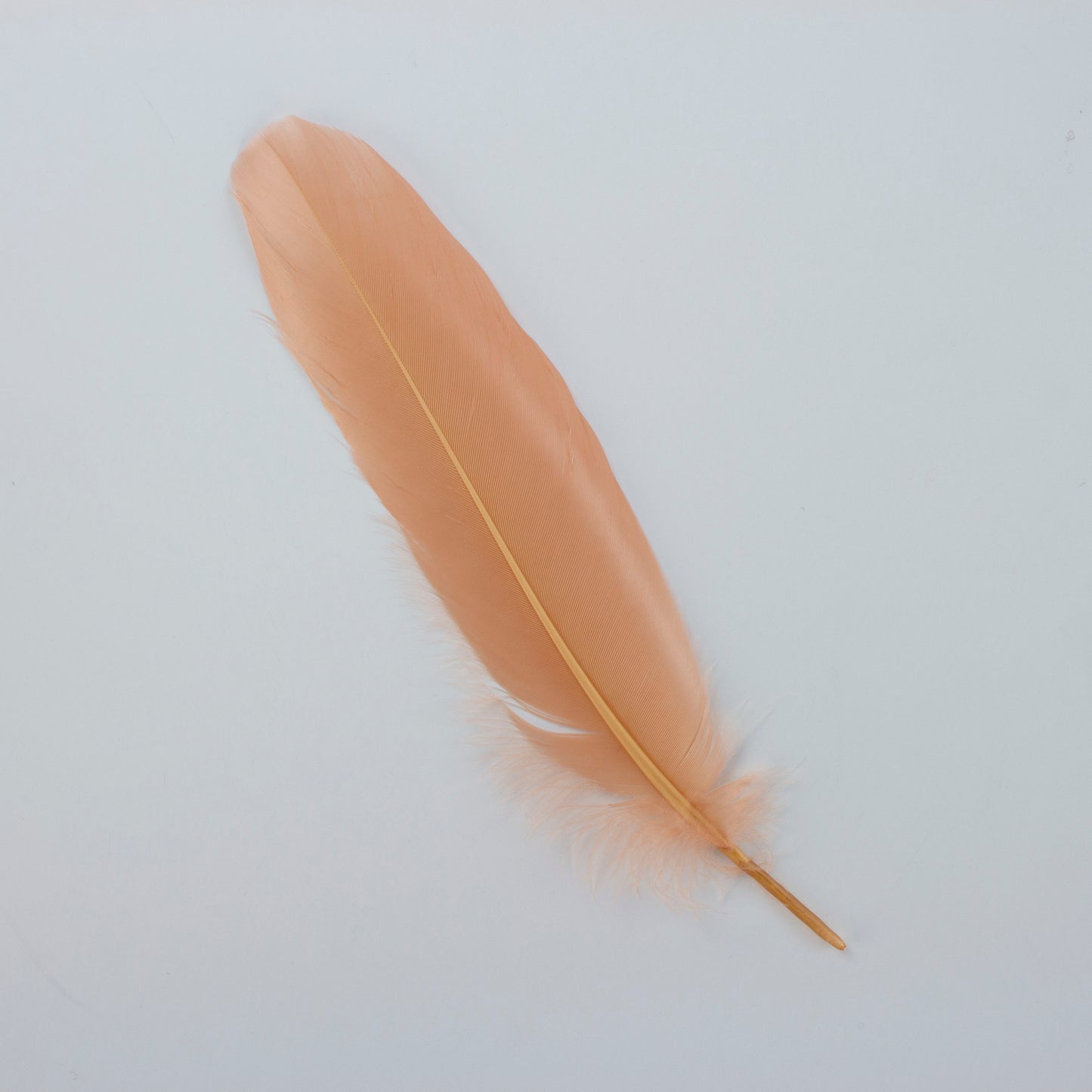 Goose Satinettes Loose 4.5-6 inch   1/4LB --Cinnamon