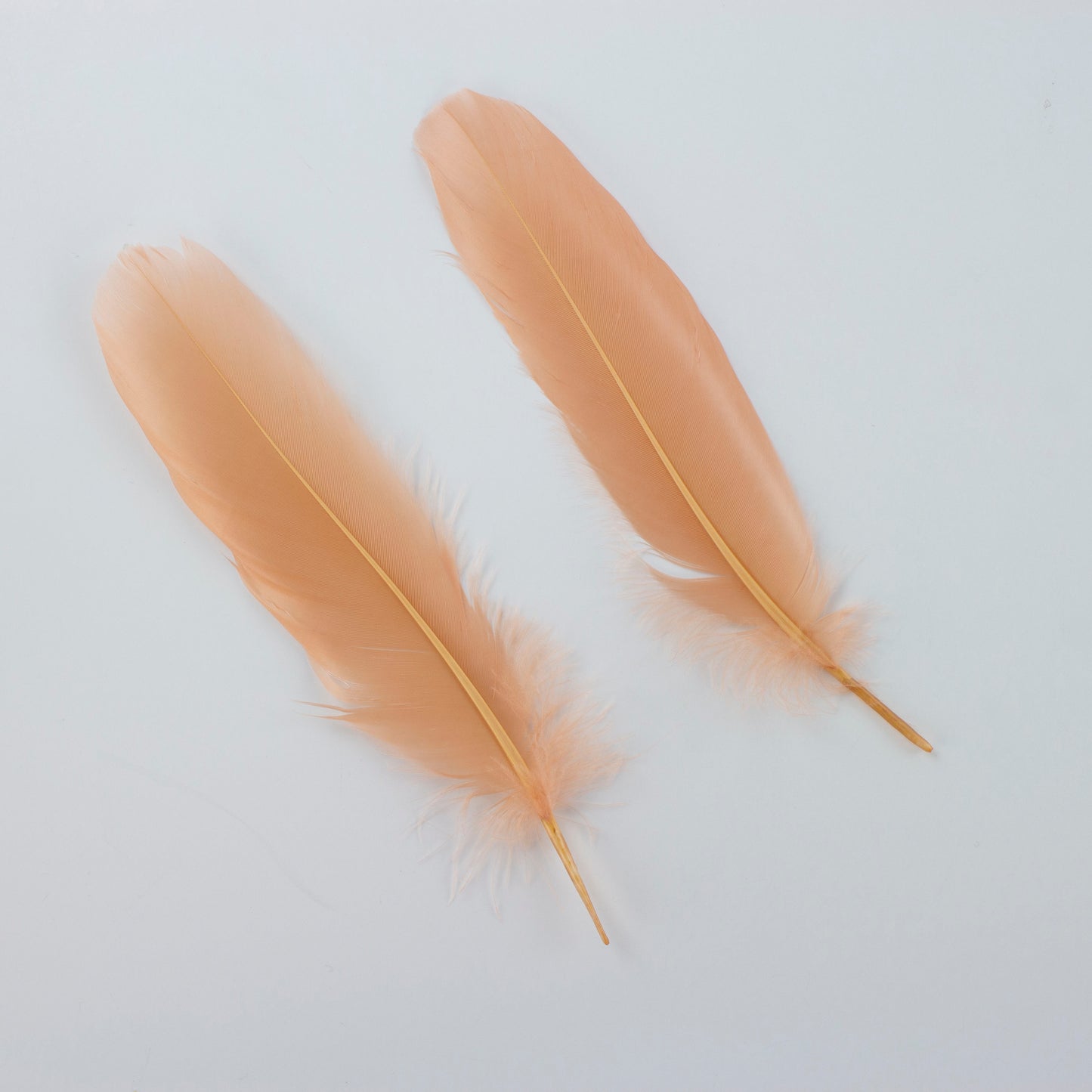 Goose Satinettes Loose 4.5-6 inch   1/4LB --Cinnamon