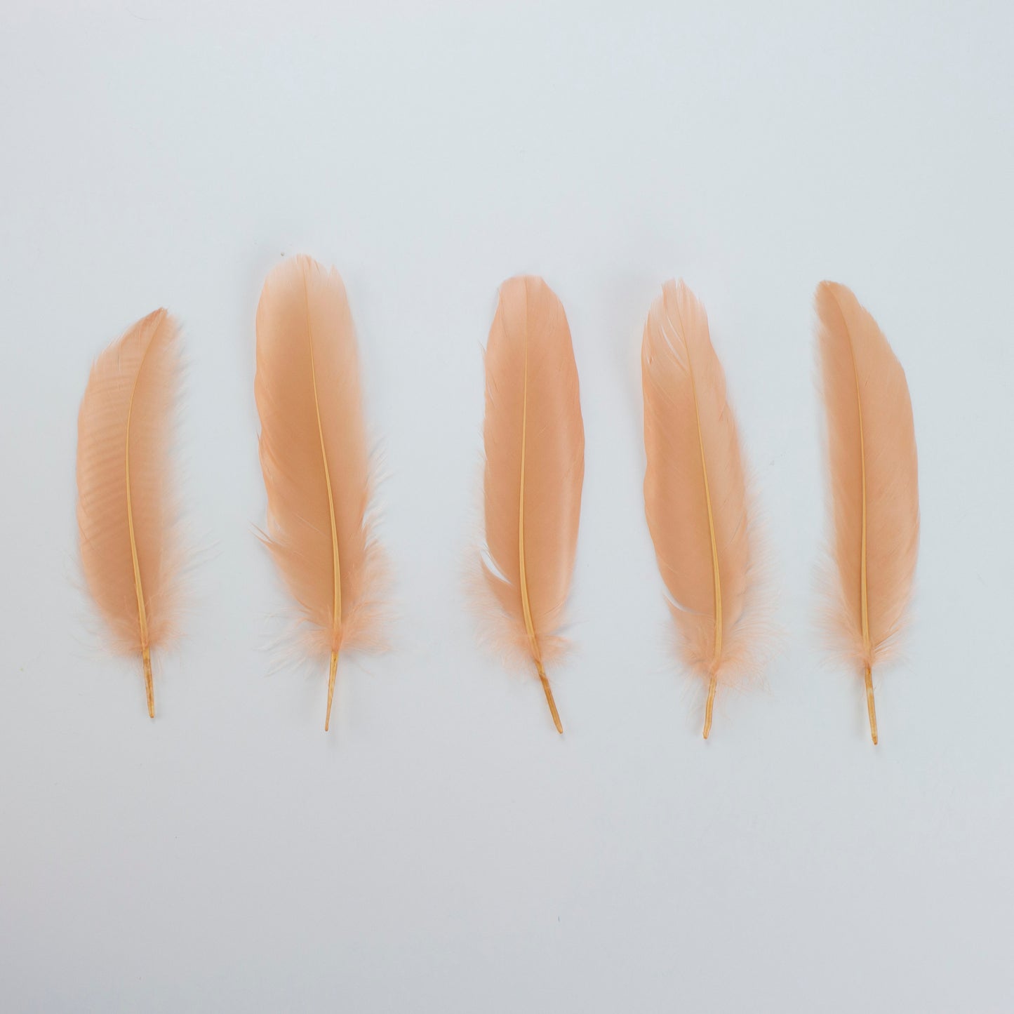 Goose Satinettes Loose 4.5-6 inch   1/4LB --Cinnamon