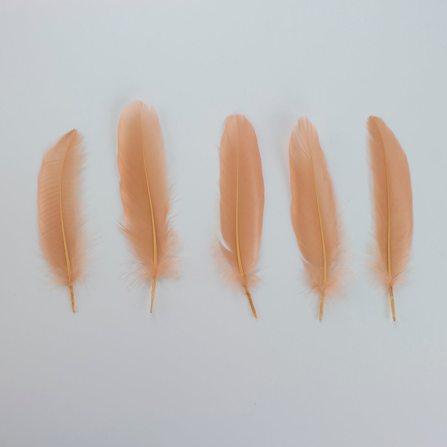 Goose Satinettes Loose 4.5-6 inch   1/4LB --Cinnamon